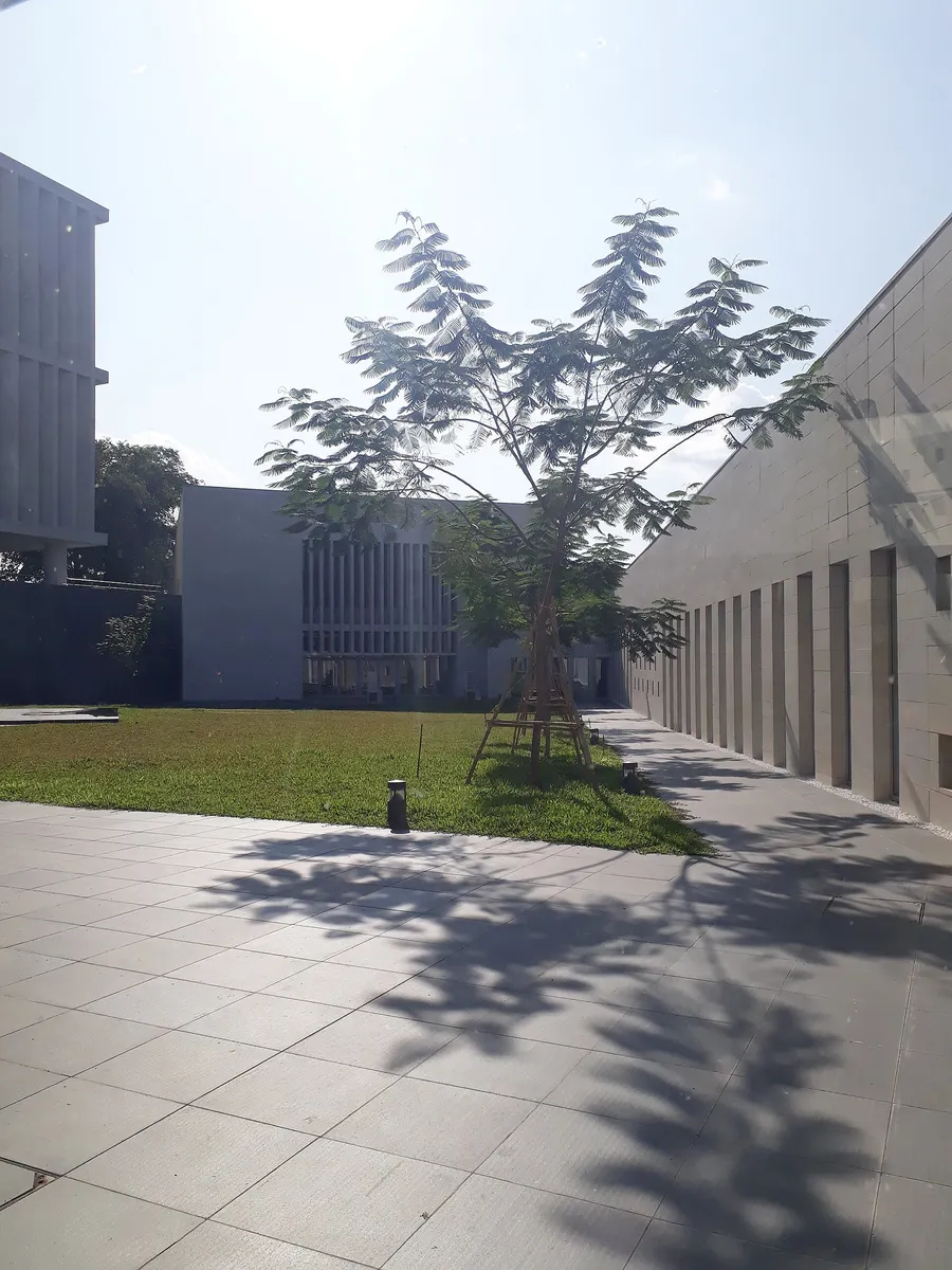 Tree shadows across a courtyard at Bihar Museum, Patna.