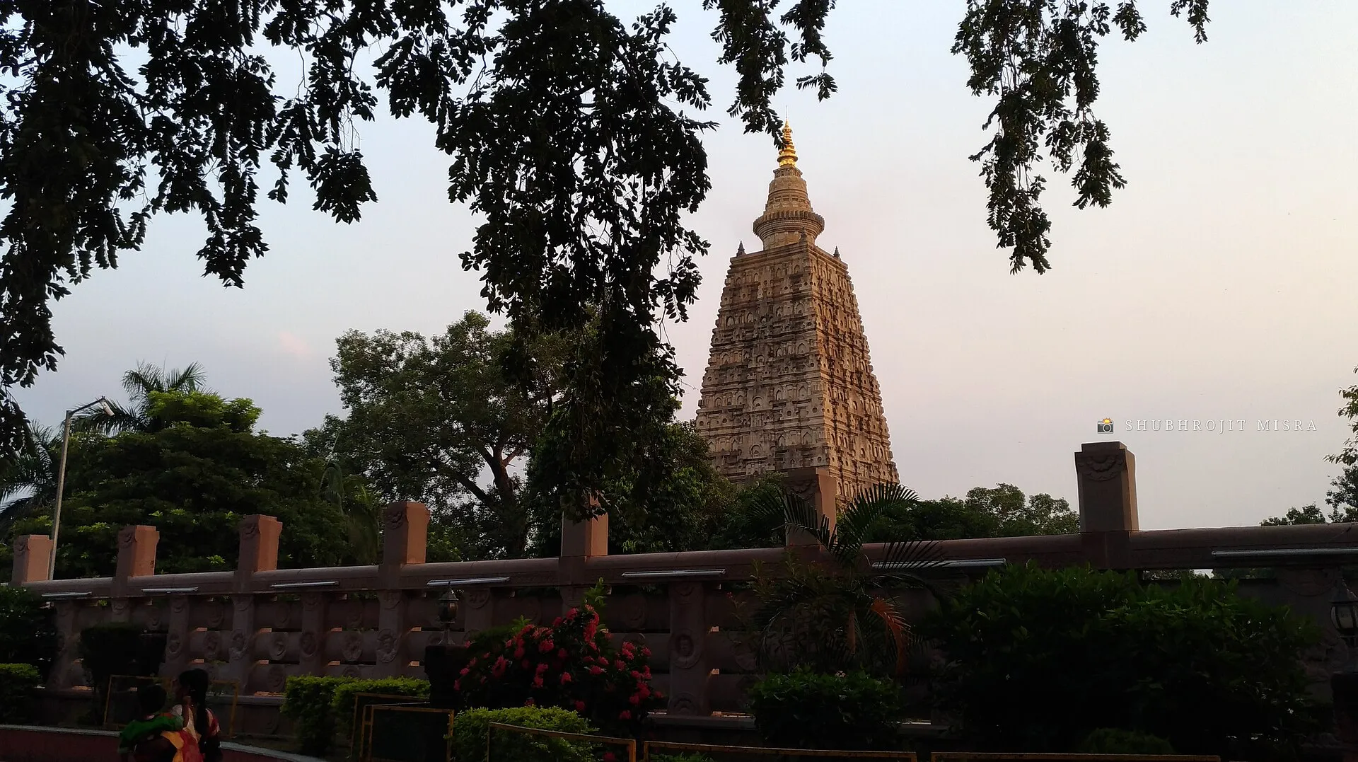 Mahabodhi Temple tower framed by tree branches at Bodh Gaya.